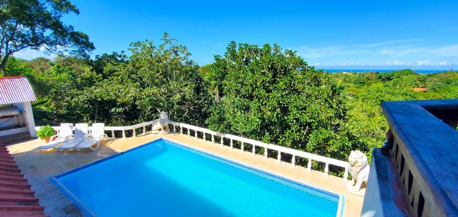 Yoyo Dolfin Residencia Villa Sosua